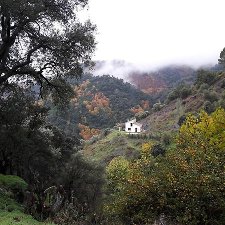 La Casa De La Era Βίλα Algatocín Εξωτερικό φωτογραφία